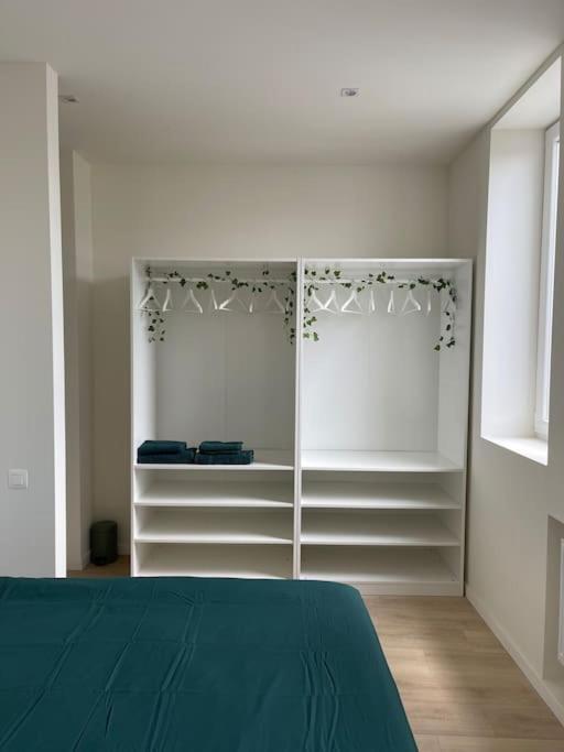 Schitterend Sint - Jacobs Loft In Antwerpen Apartment Bagian luar foto